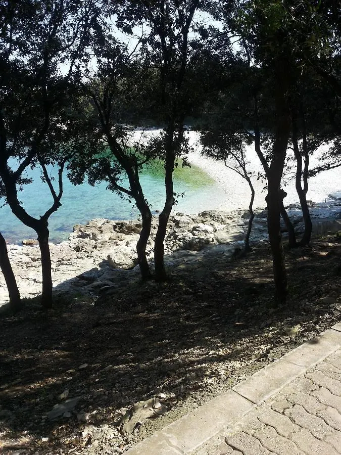 Apartment Sara Pomer Croatia